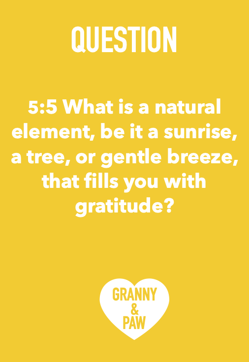 LIFE LESSONS | SET 5:5