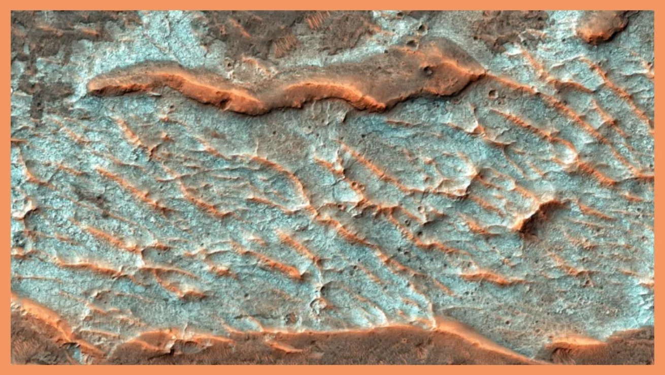 011 - Did We Kill Life on Mars?