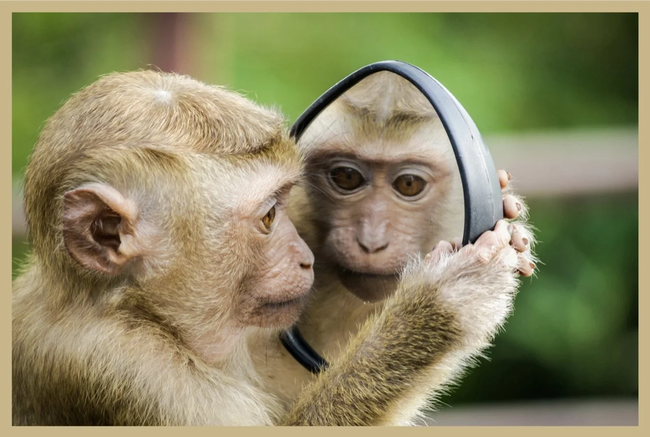 022 - How Do You Look To Other People?