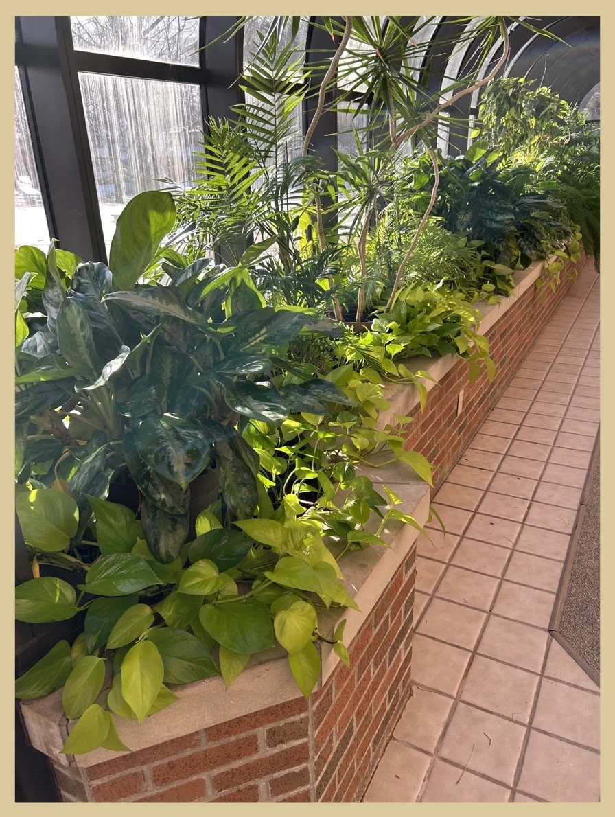 Gathering Place Where Friendships Bloom