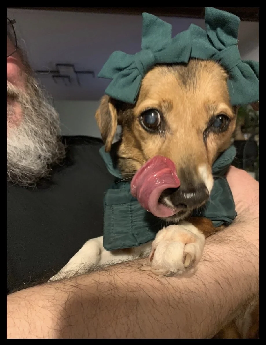 The Extraordinary Miss Sunny