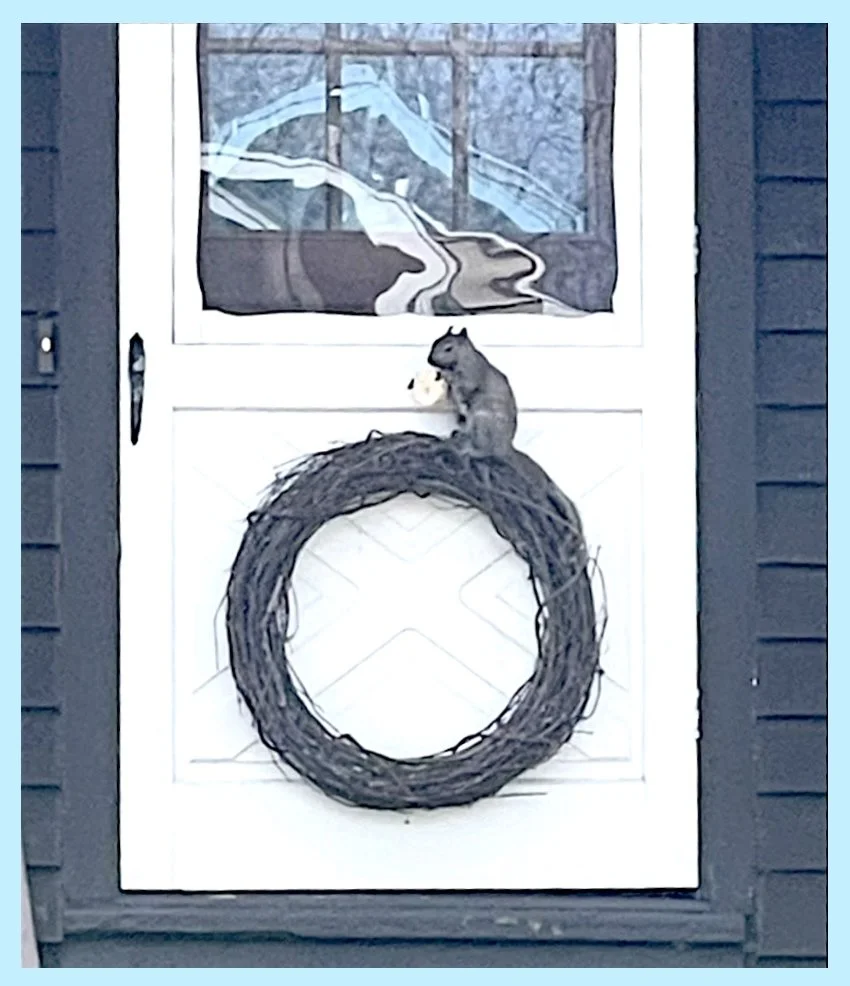 Squirrel Dining Perch