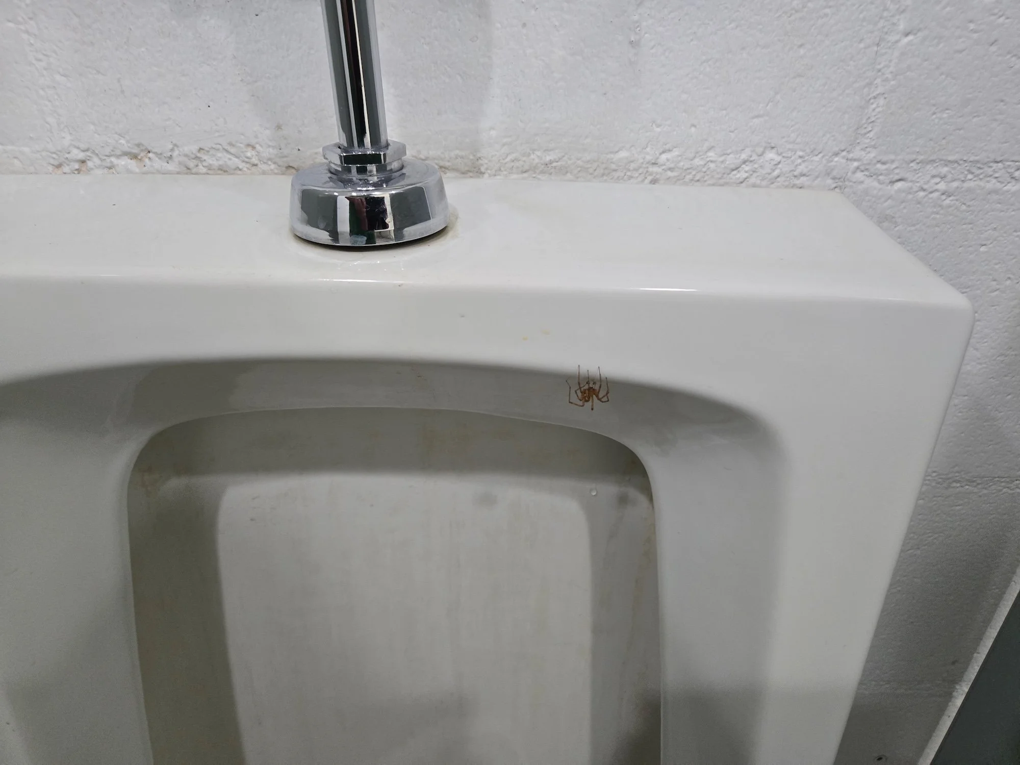 I Did Not Actually Want An Audience