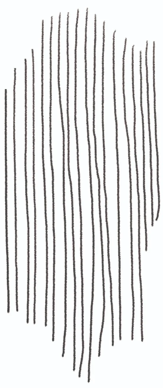 DrAnnaRoth_illustrations_PencilLines.jpg