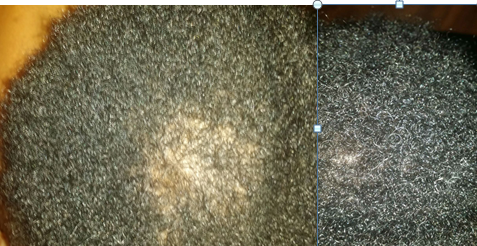 6 DAYS RESULTS.png