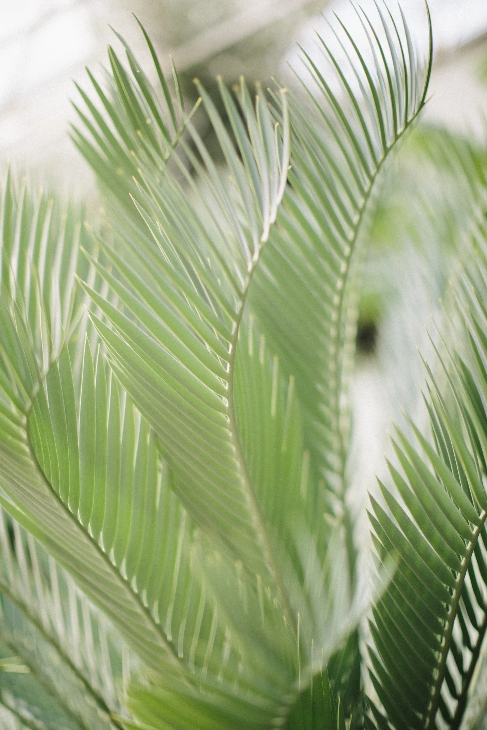 unsplash-image-0mgx9-zXKvc.jpg