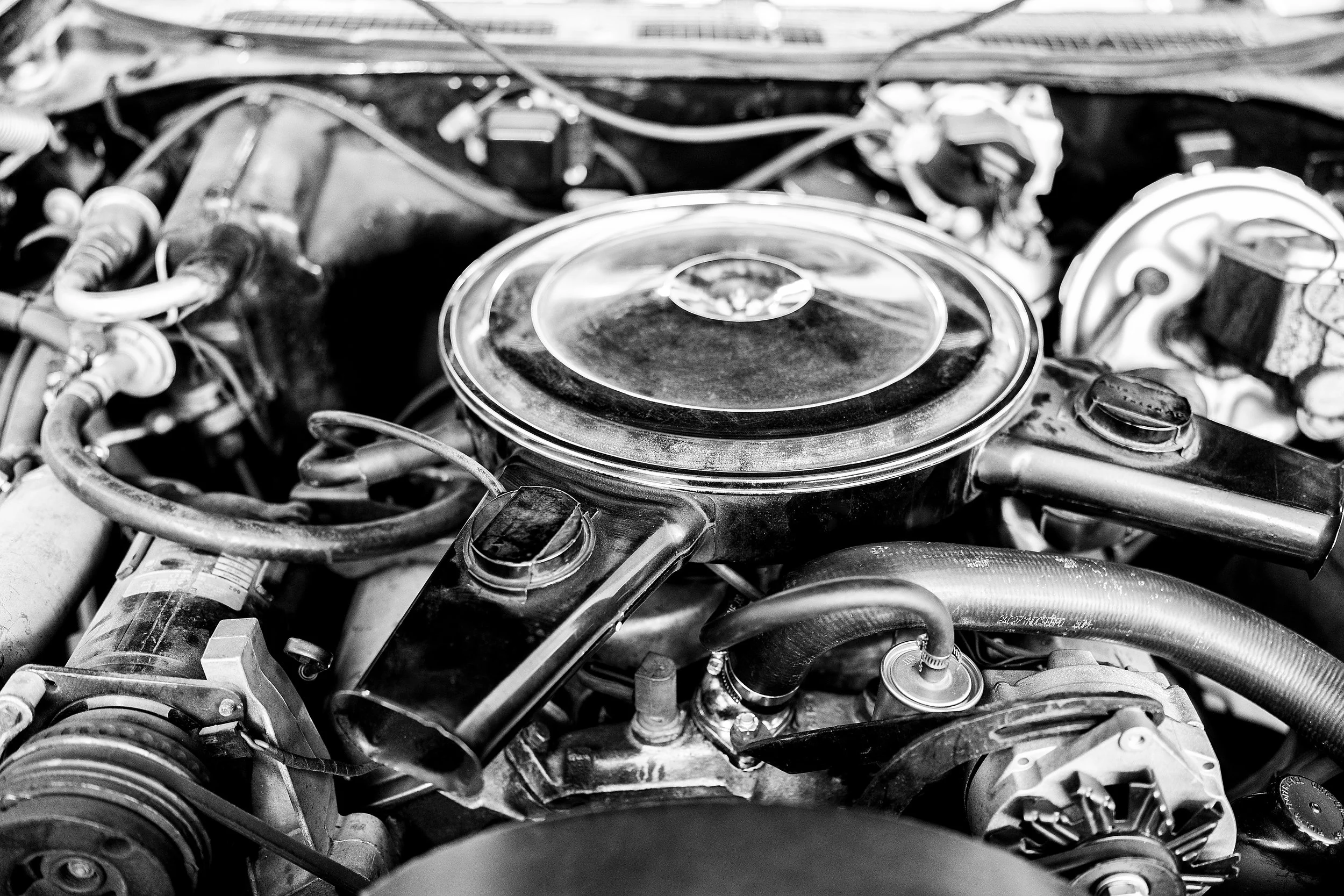 _DSC1588B.jpg