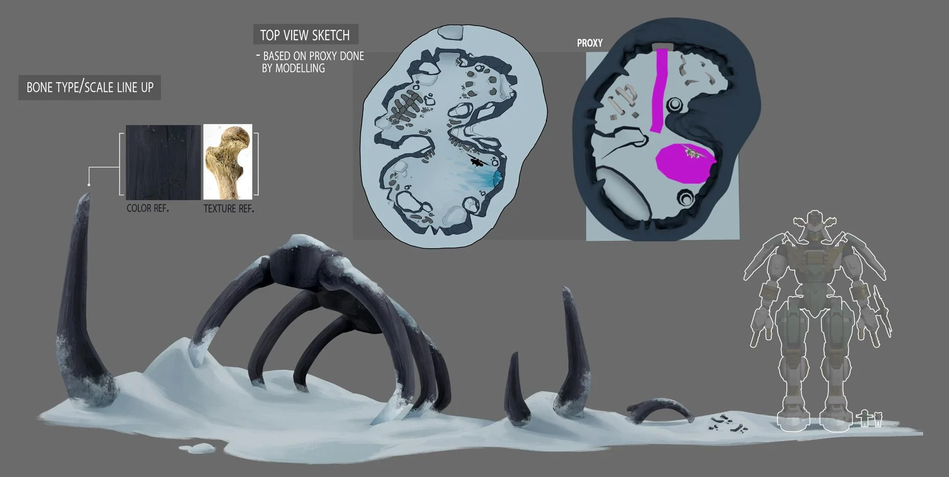 BONE_bone.jpg