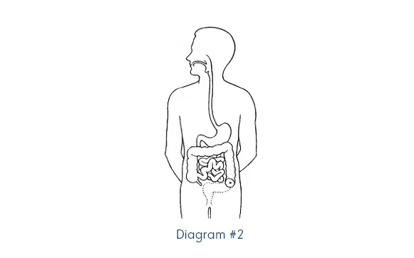 diagram 2.jpg