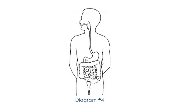 diagram 4.jpg