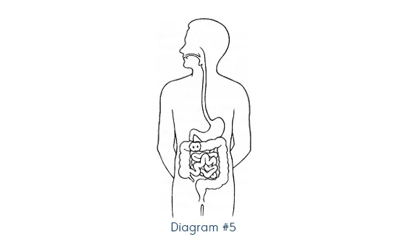 diagram 5.jpg