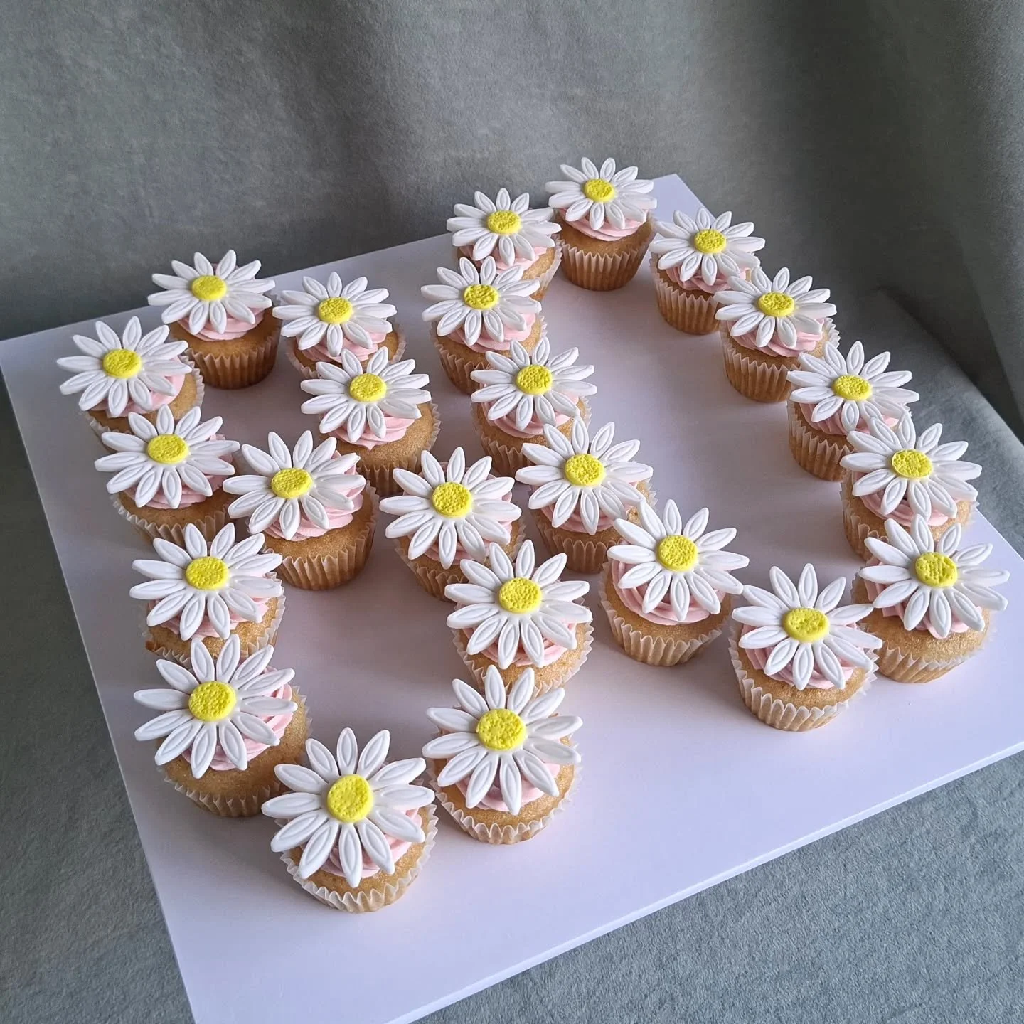 Daisy mini-cupcakes for an 80th 🌼🩷

#minicupcakes #daisycupcakes #taupocupcakes