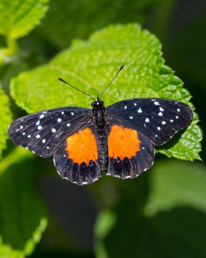31da0949-5bee-4664-ab9c-8b13736fd7b9.jpeg