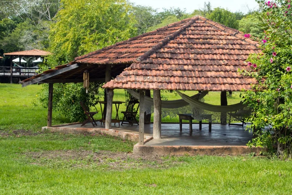 image-11.jpg