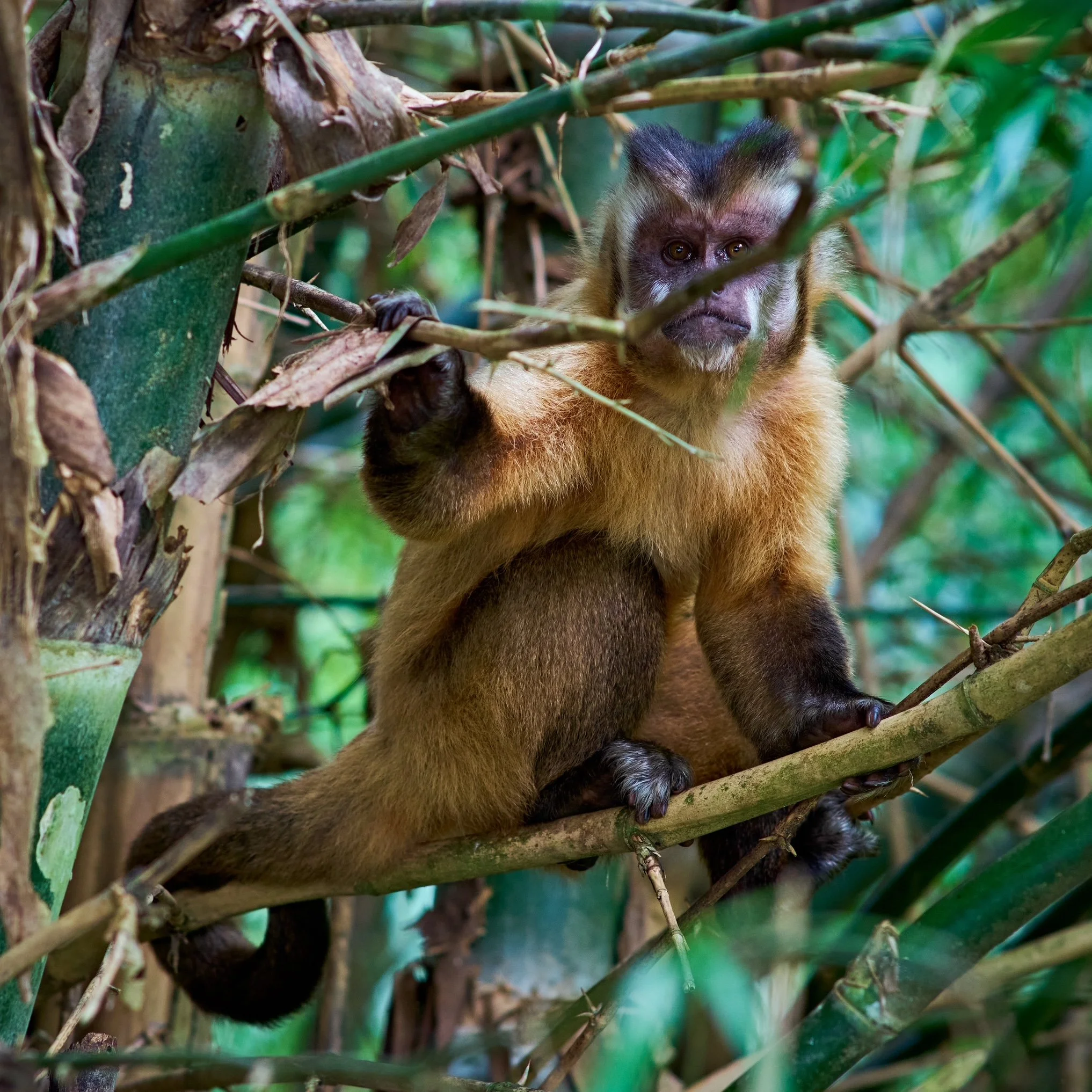 Santa_Esmeralda_2 10.JPG