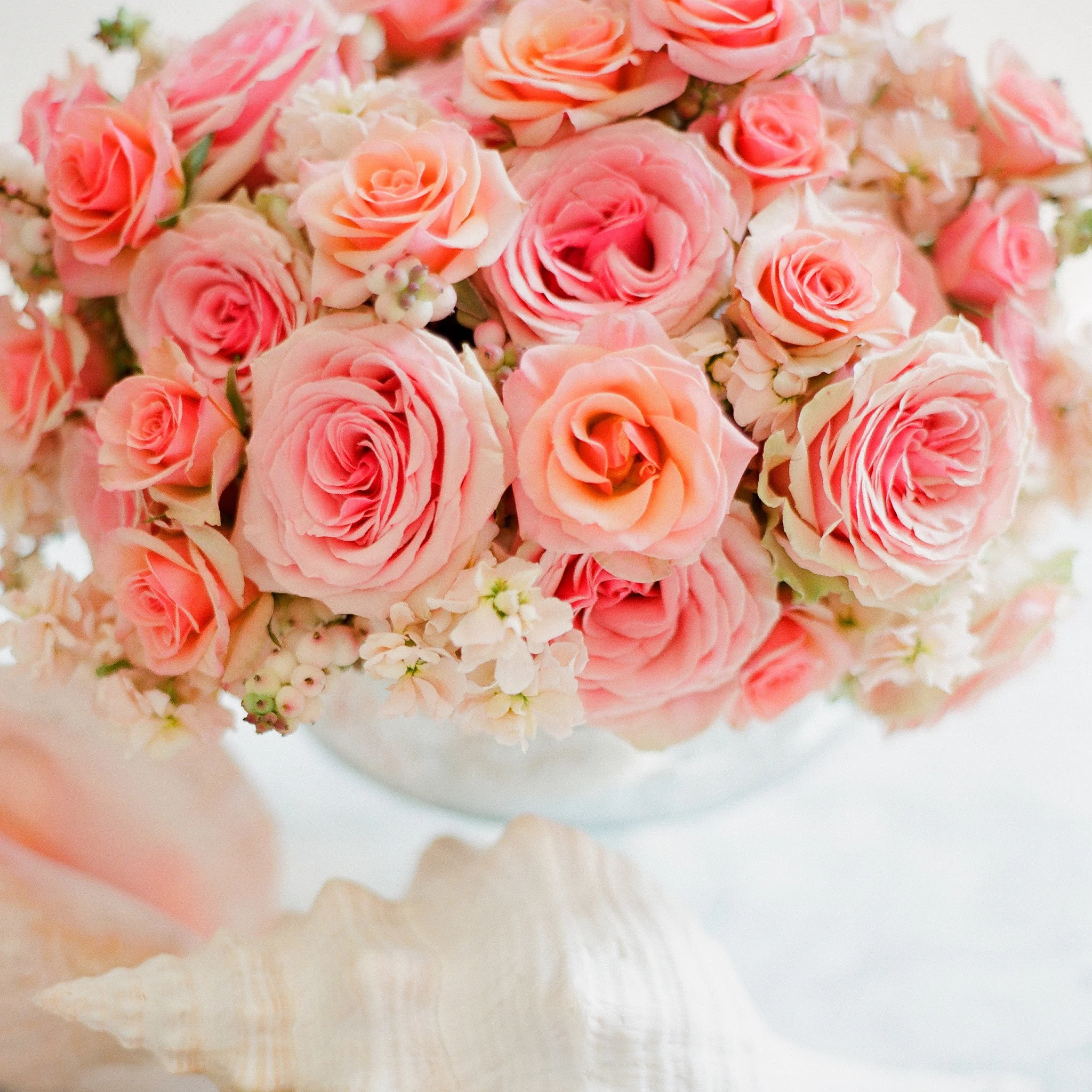officeP-bouquet-0005.jpg