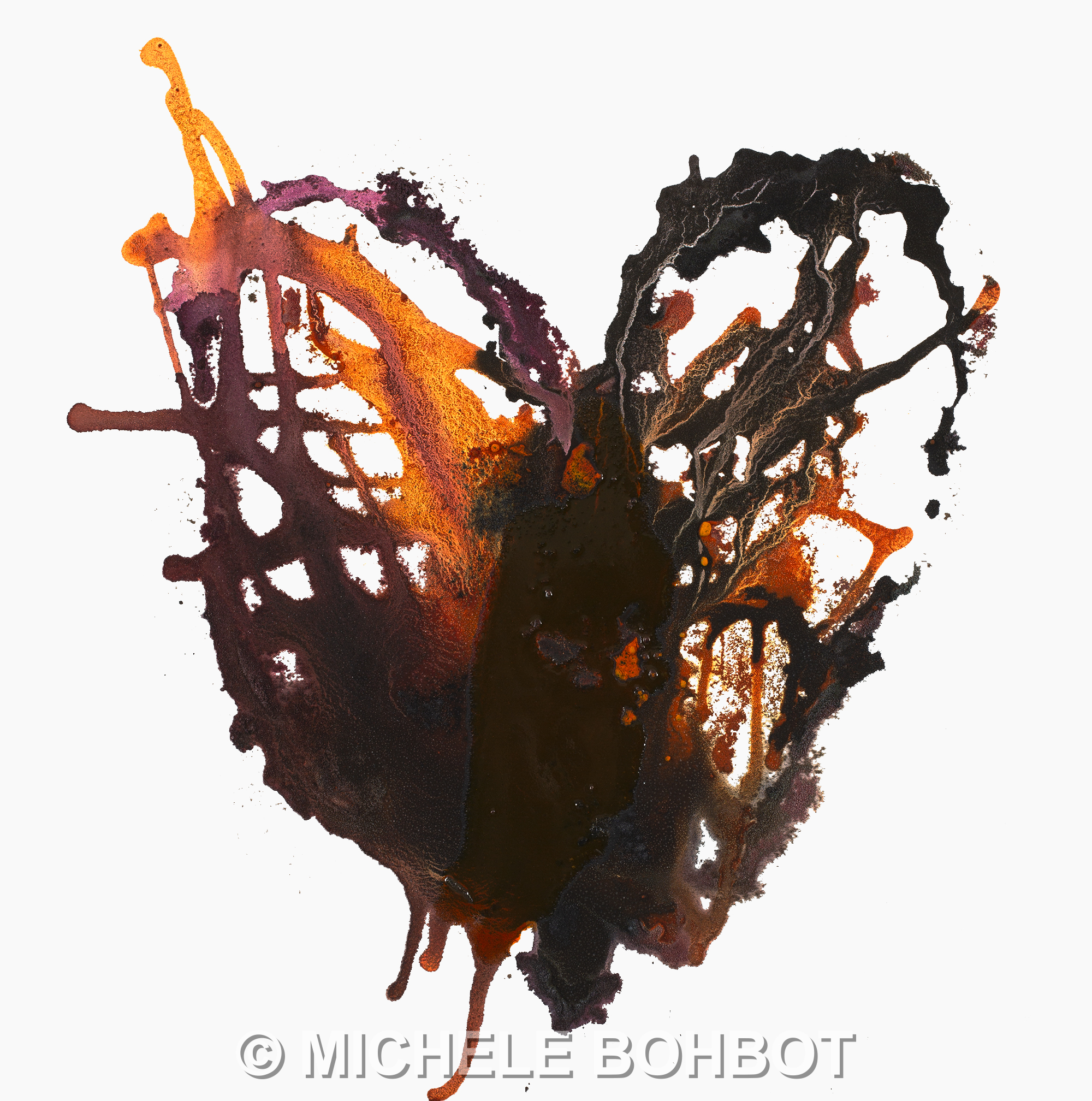 Michele A. Bohbot (4-13-19)_09_lg-1gGR.jpg
