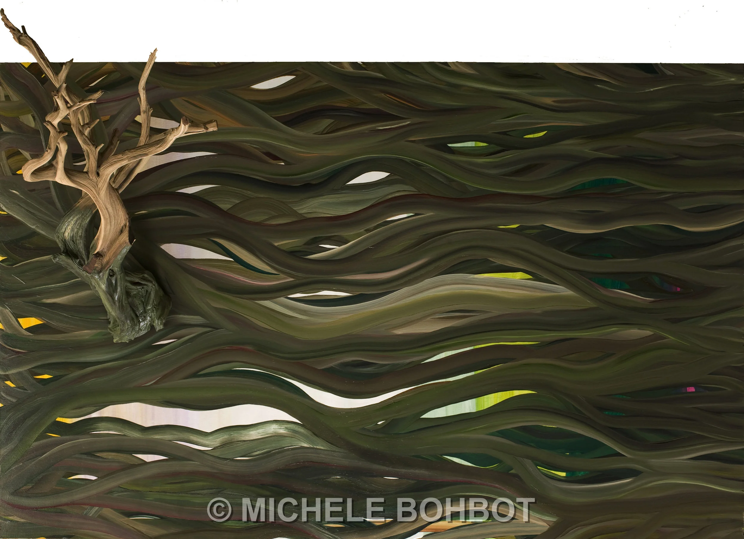 Michele A. Bohbot _07_crop_white-1.jpg