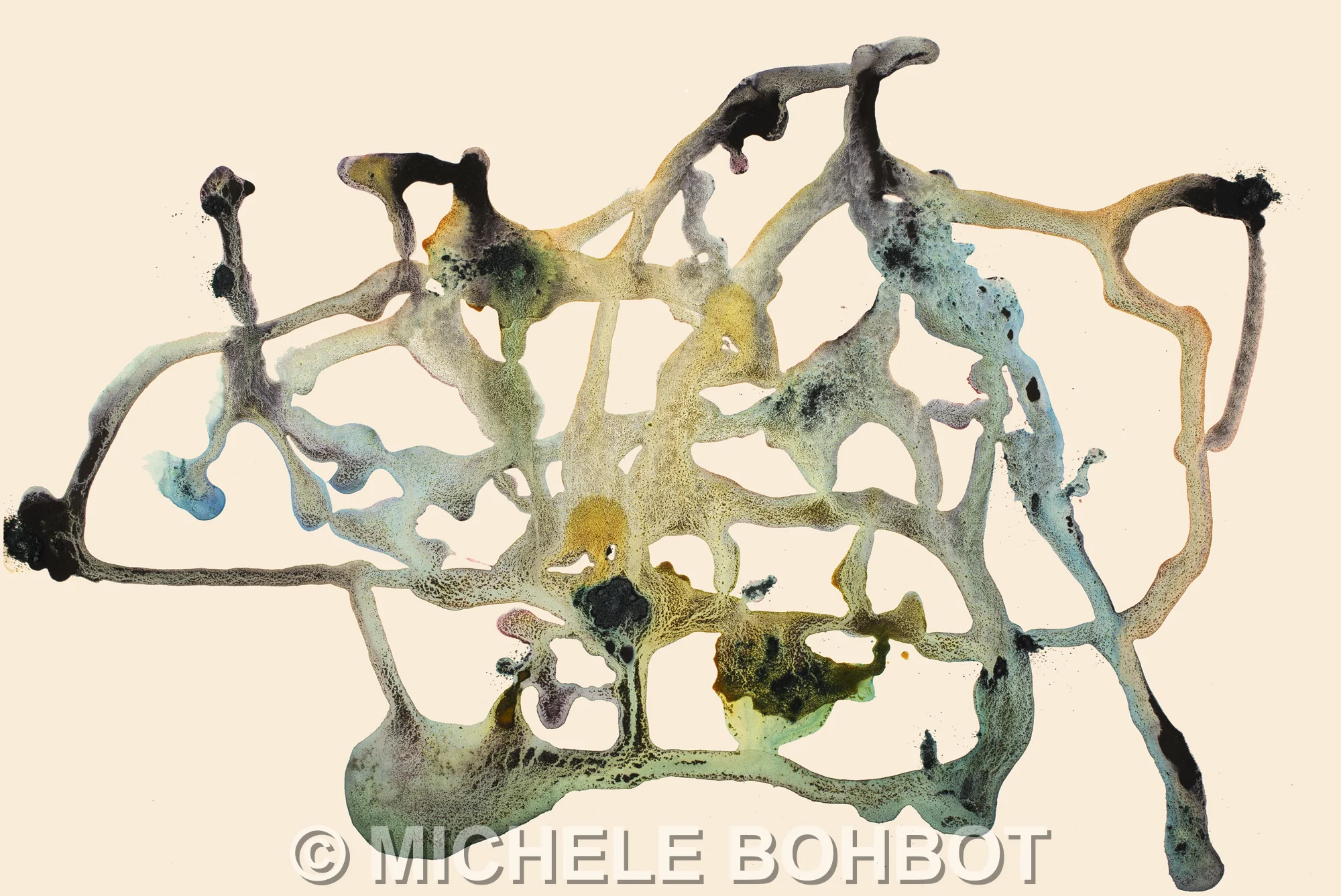 Michele A. Bohbot (4-13-19)_17_lg-ed2-1a.jpg