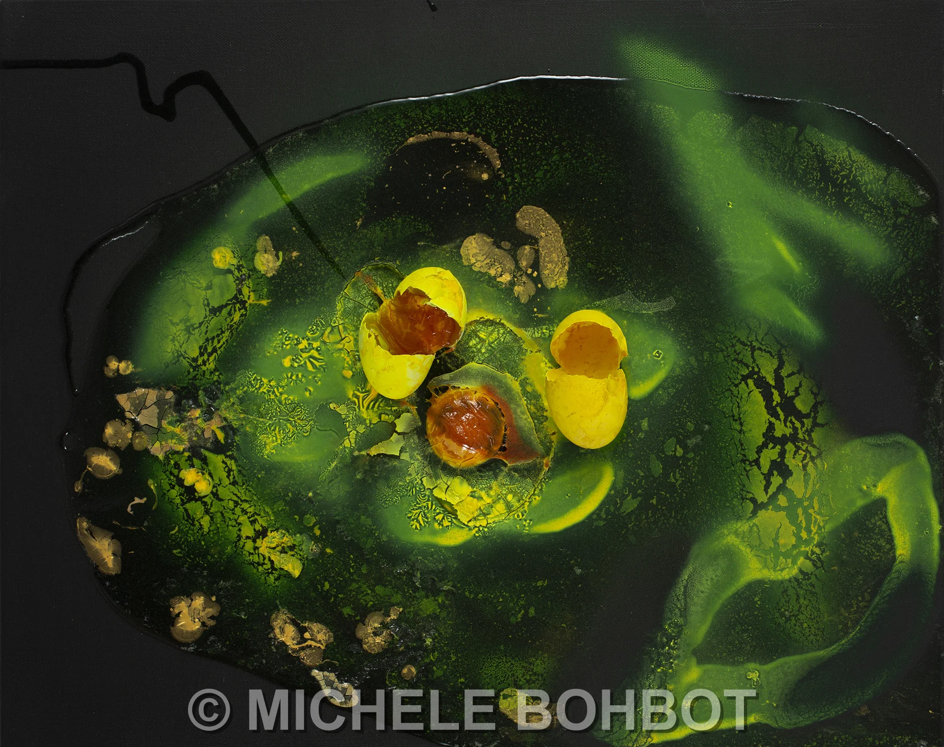 Michele A. Bohbot (4-13-19)_31_lg-ed1-1-gr.jpg