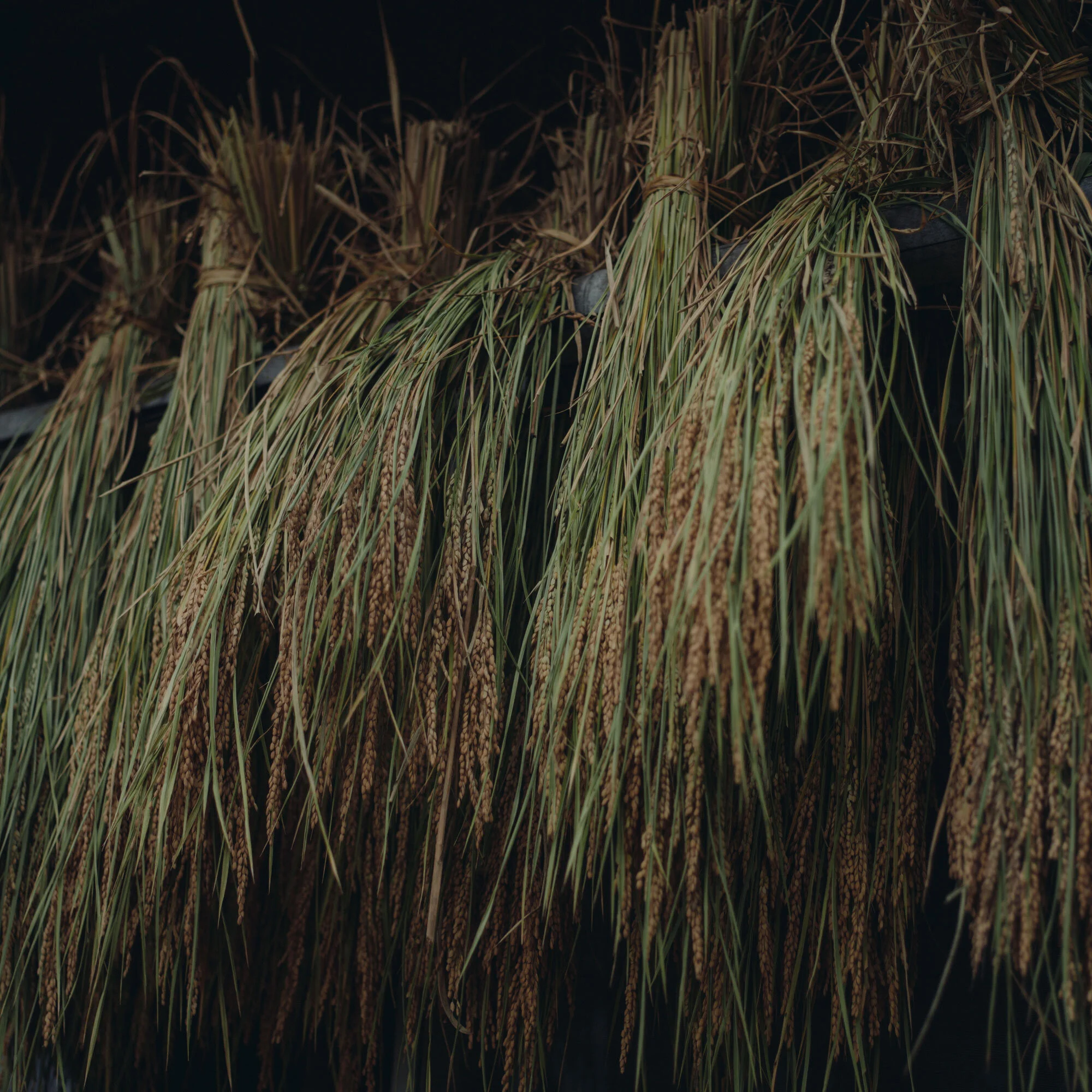 CF075160.jpg