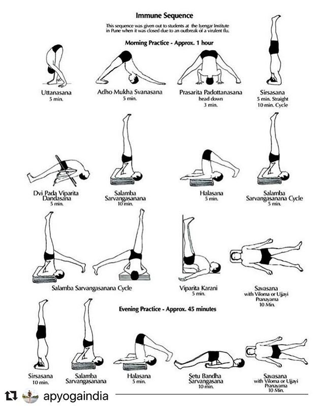 Well, since we&rsquo;re all trying to be self aware....
Here&rsquo;s an immunity sequence from @apyogaindia 
#yogaforcorona 🤷🏾&zwj;♀️🧘🏾&zwj;♀️Many people are uninformed about the many mental and physical benefits yoga can have on your body. 
Stay