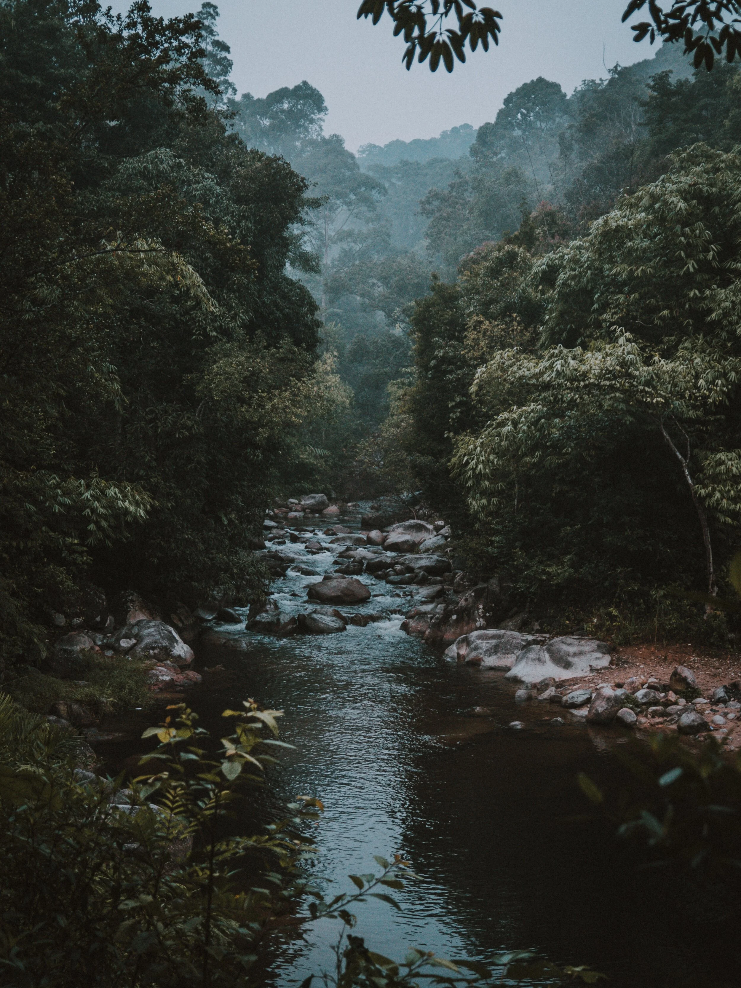 boulders-creek-environment-2695412.jpg