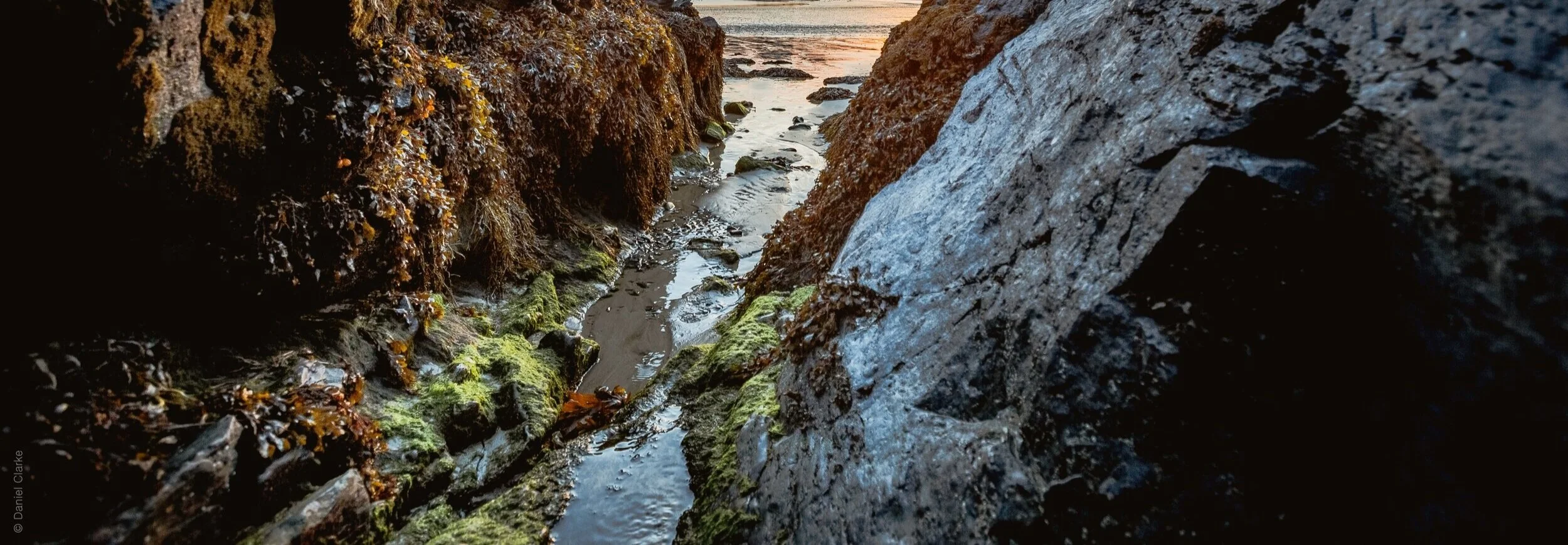 ocean+stream.jpg