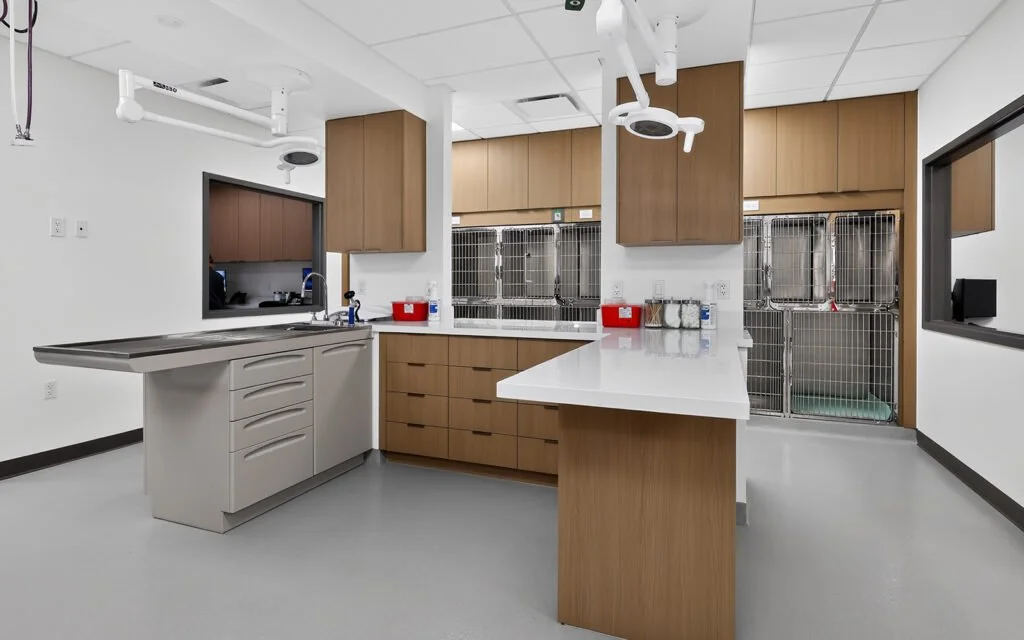 Green-Fig-Vets-Interior_0007_30_702_W_Katella_Ave-Others-0099-1024x640.jpeg