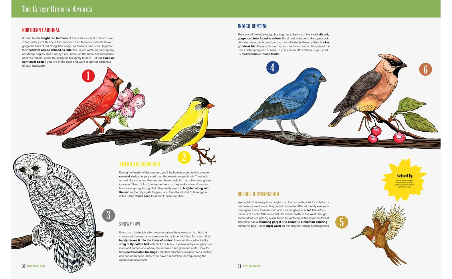 birds+blooms_5.jpg