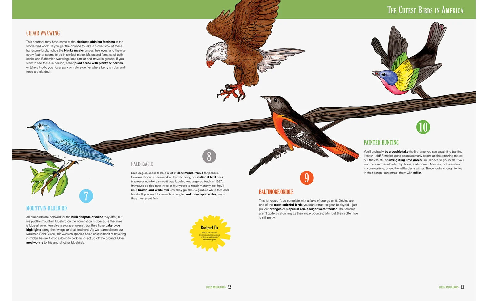 birds+blooms_6.jpg
