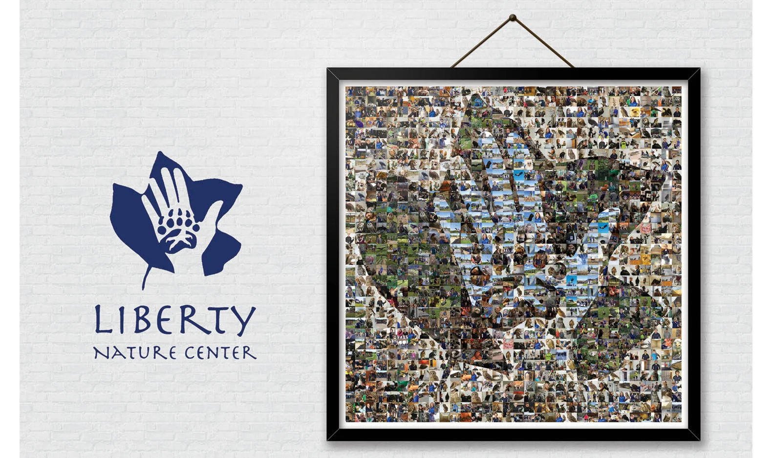 liberty_nc_photomosaic-2.jpg