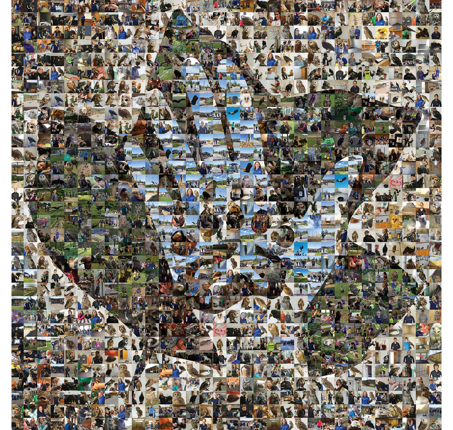liberty_nc_photomosaic-3.jpg