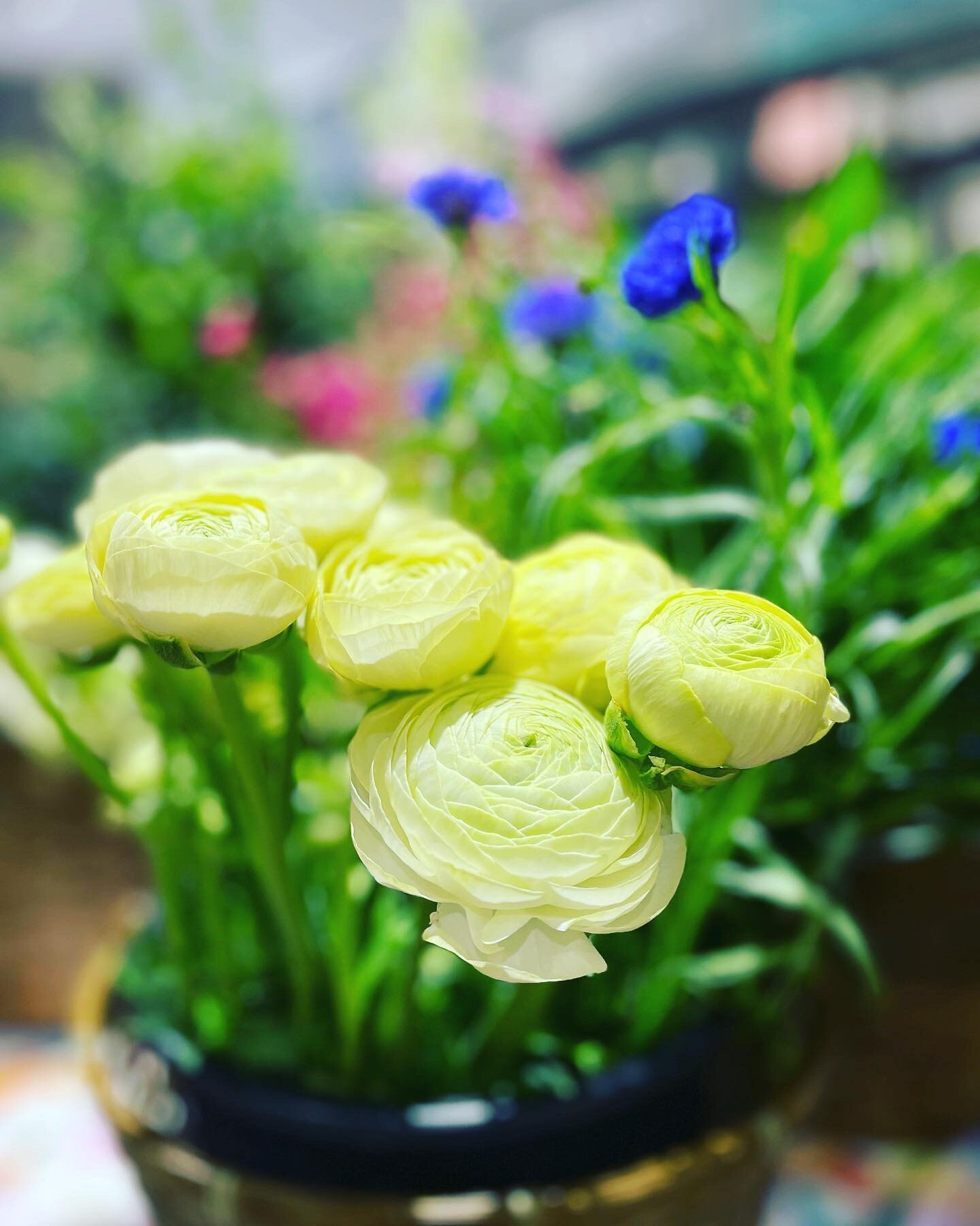Happy Saturday! 

yegflowers #yegflowershop #yegshoplocal #yegshopsmall #yegbusiness #freshflowerbundles #yeglocal  #yeg #thelittleflowertruckyeg #flowersofinstagram #flowerpower #freshflowers #flowersmakepeoplehappy #springflowers