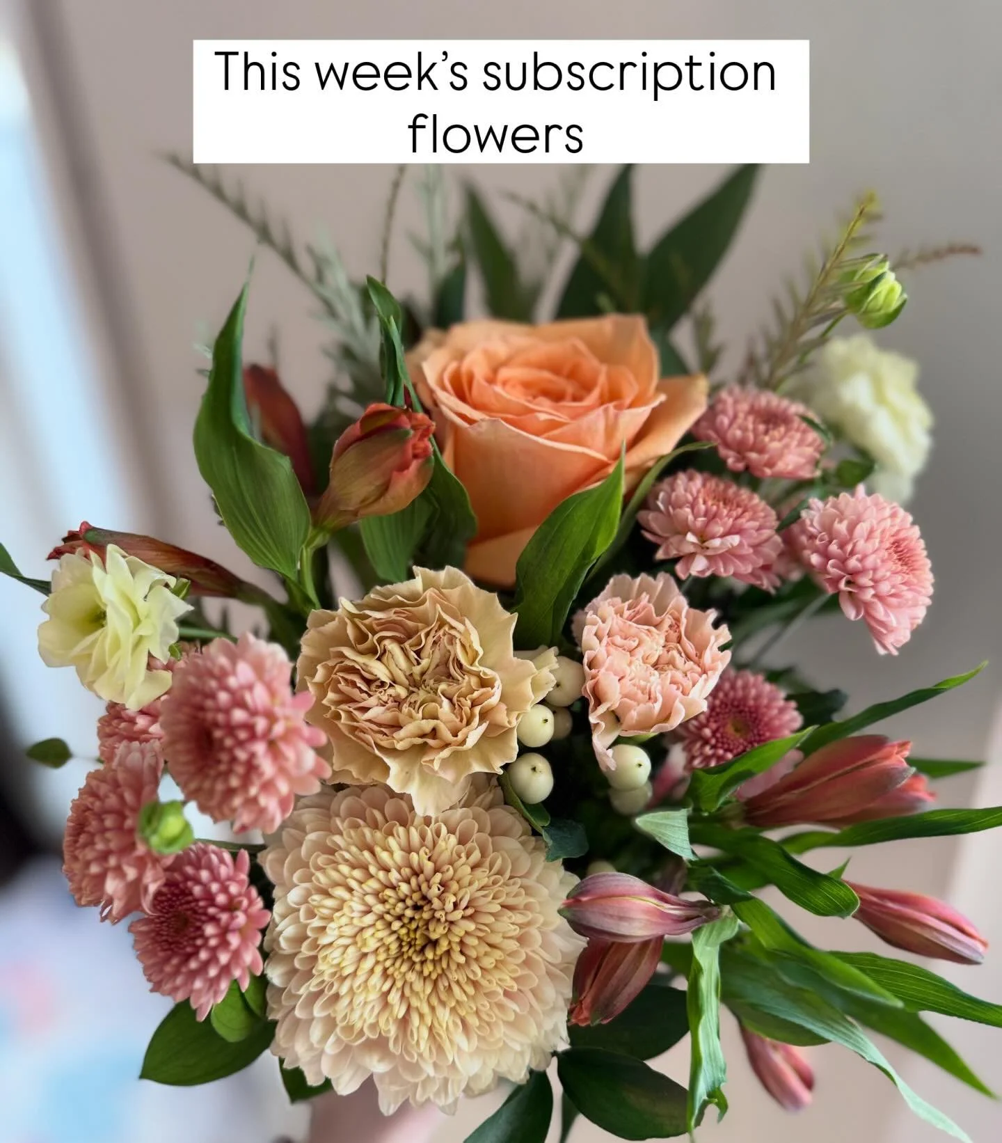 This week&rsquo;s subscription flowers include Peach roses paired with long-lasting mums and textured blooms chosen to open slowly and hold their shape all week.

Designed to be enjoyed&mdash;not rushed.

#flowersubscription #flowerdelivery #seasonal