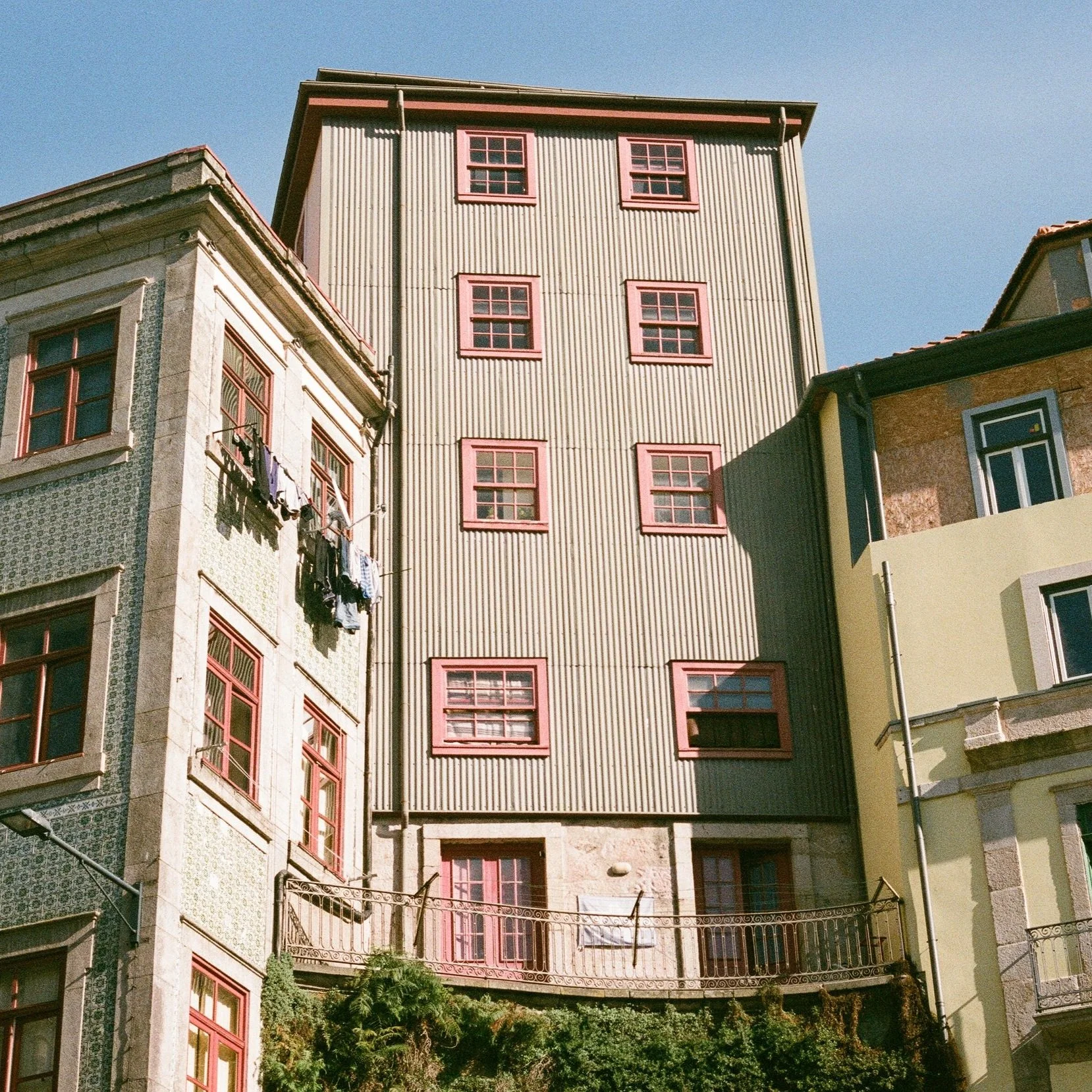 82520037.jpg
