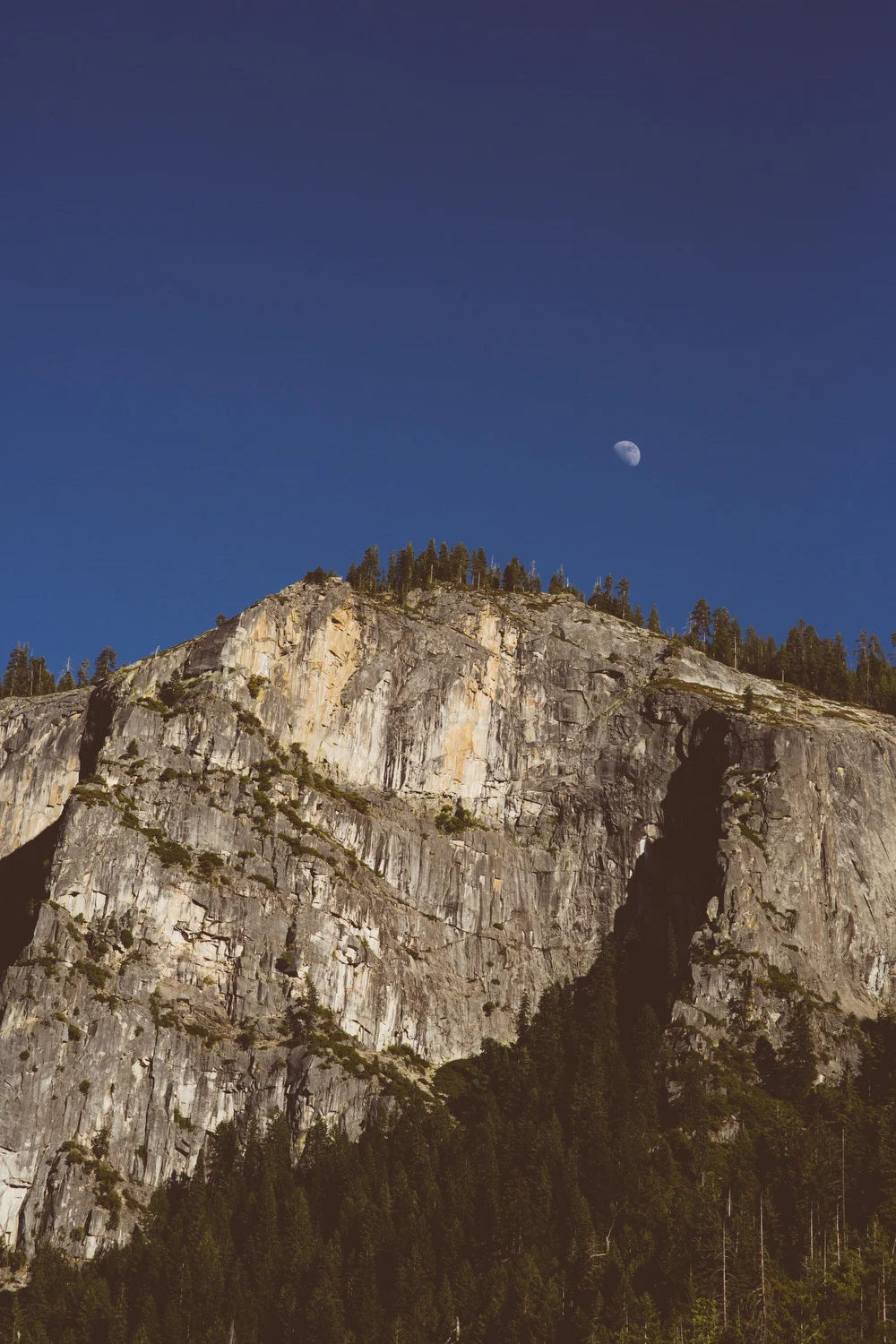 yosemite edits   -2.JPG