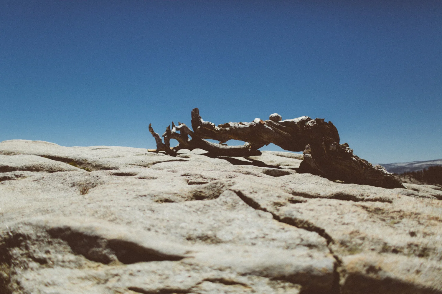 yosemite edits   -42.JPG