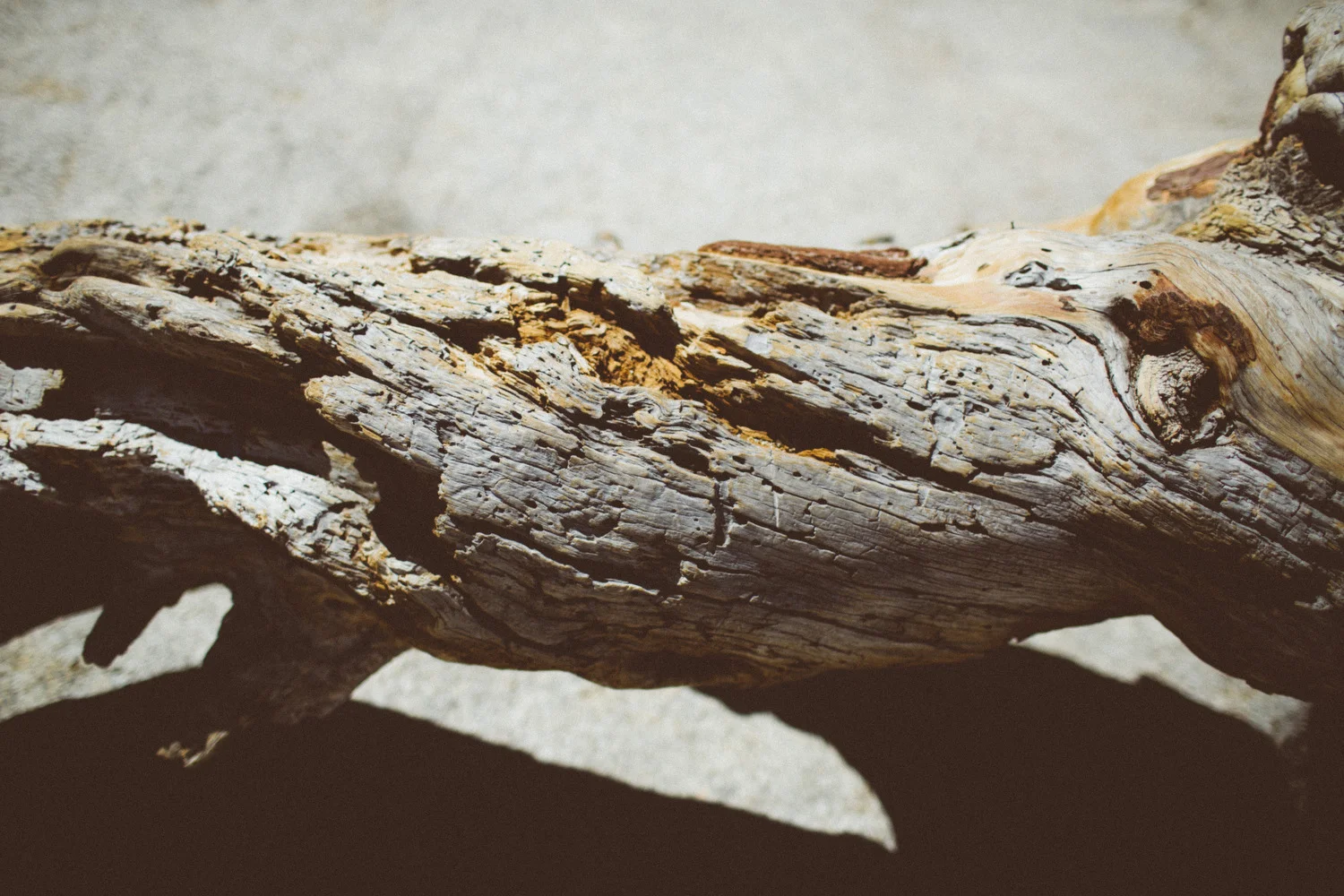 yosemite edits   -43.JPG