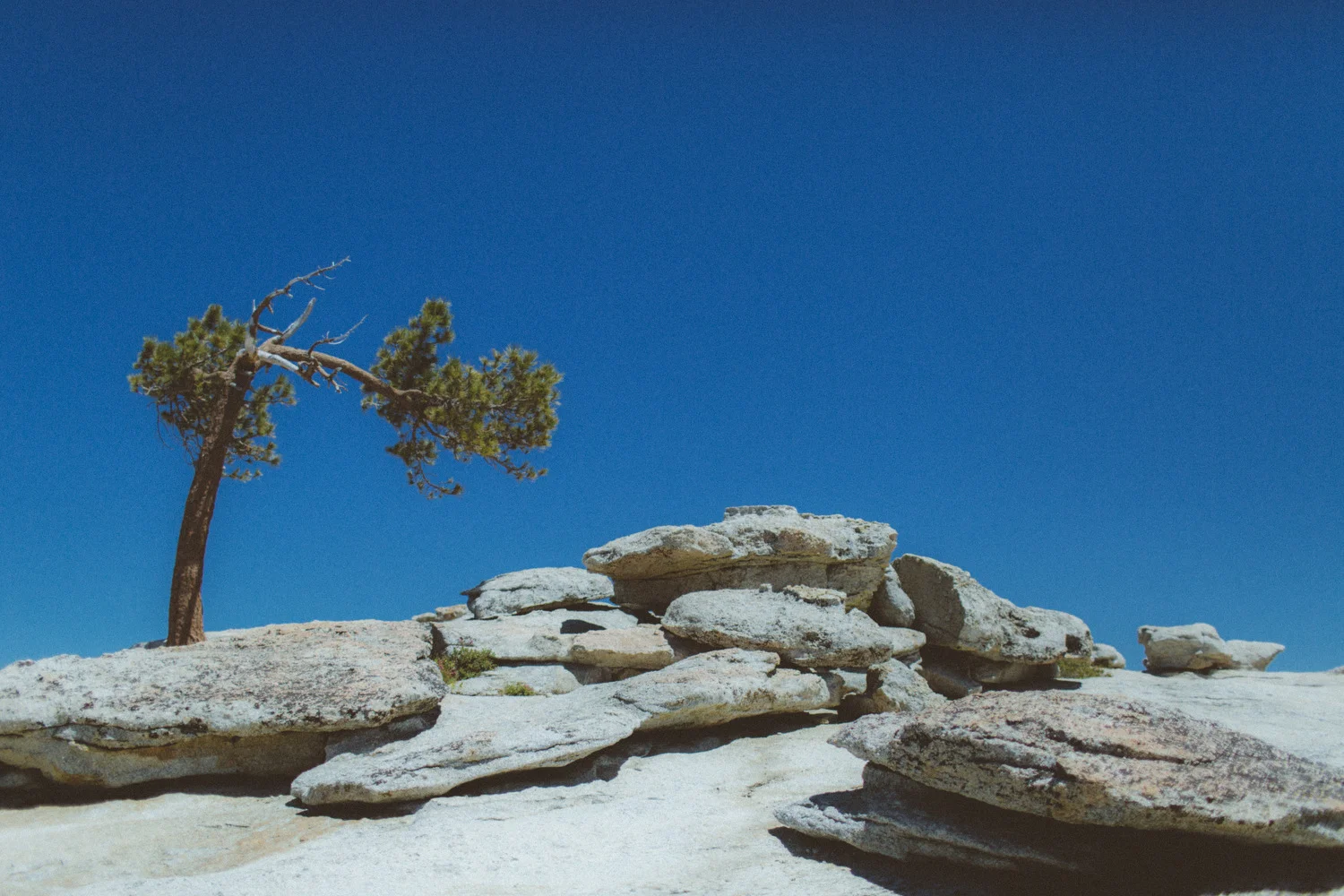 yosemite edits   -48.JPG