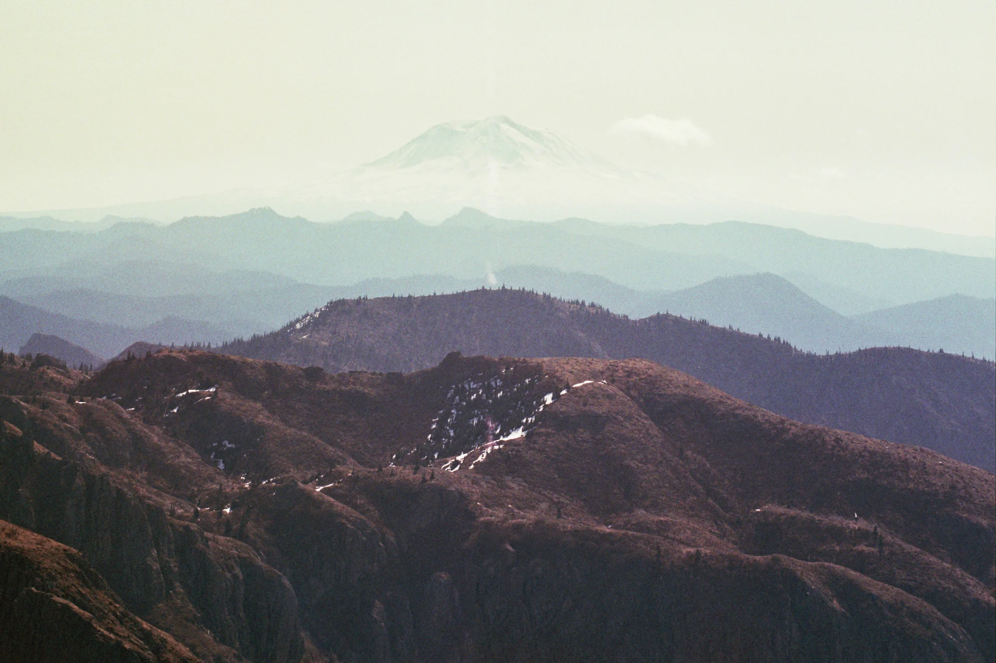 Film is not dead 29.JPG