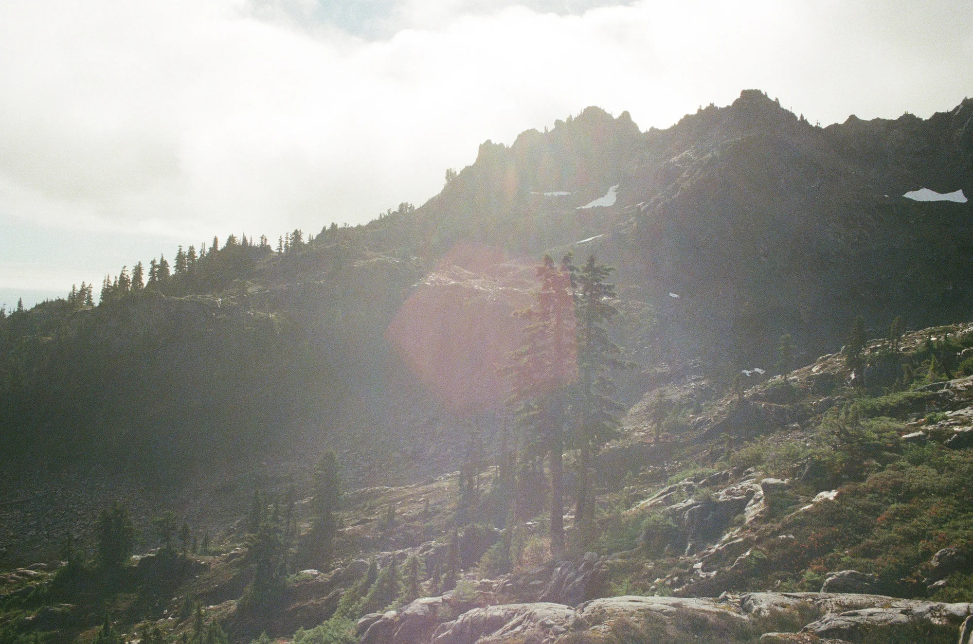 Film is not dead 117.JPG