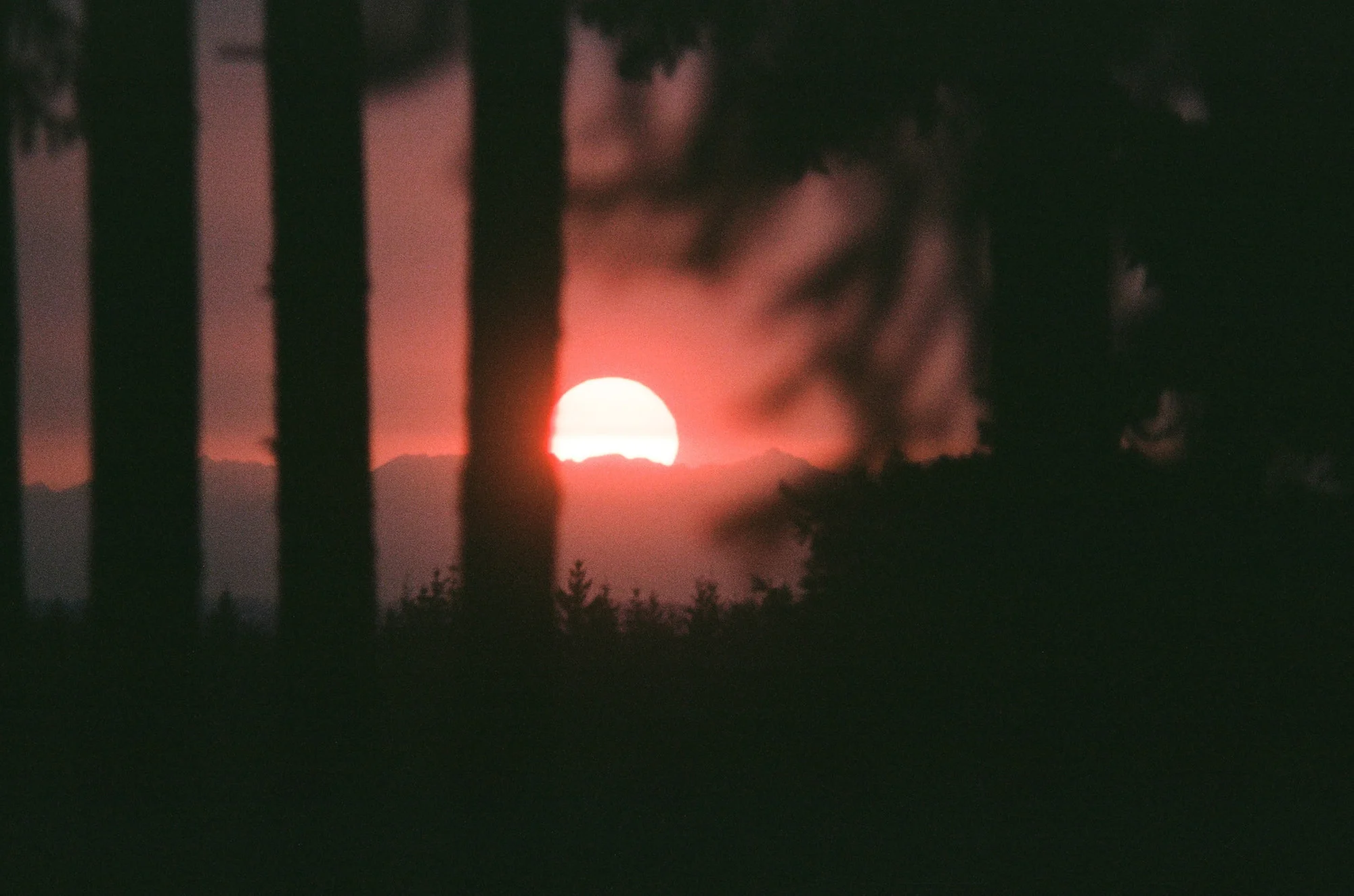 Film is not dead 149.JPG