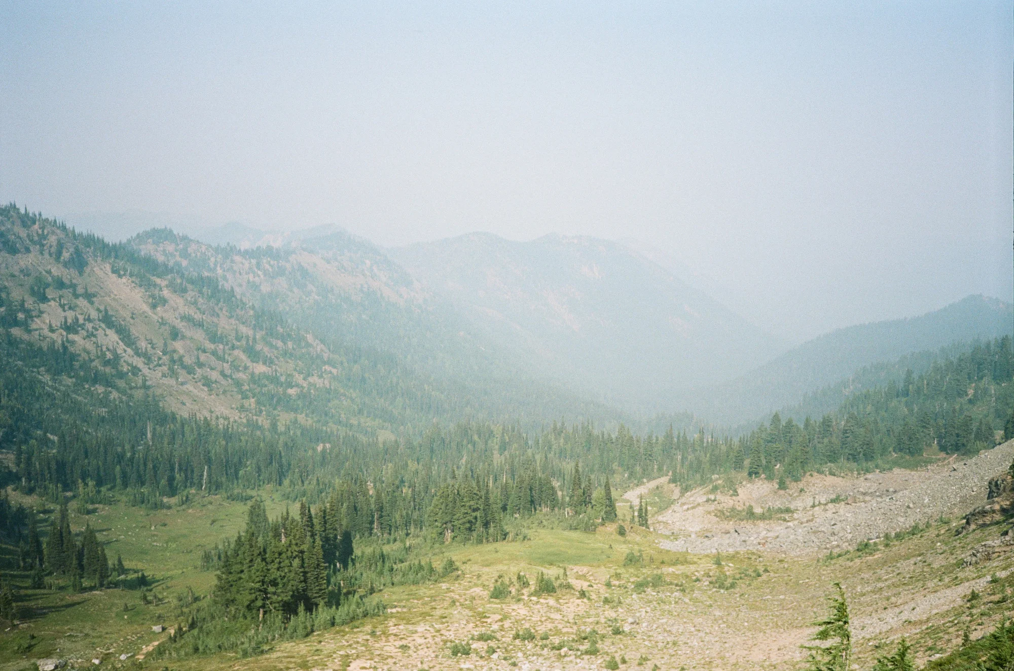 Film is not dead 166.JPG