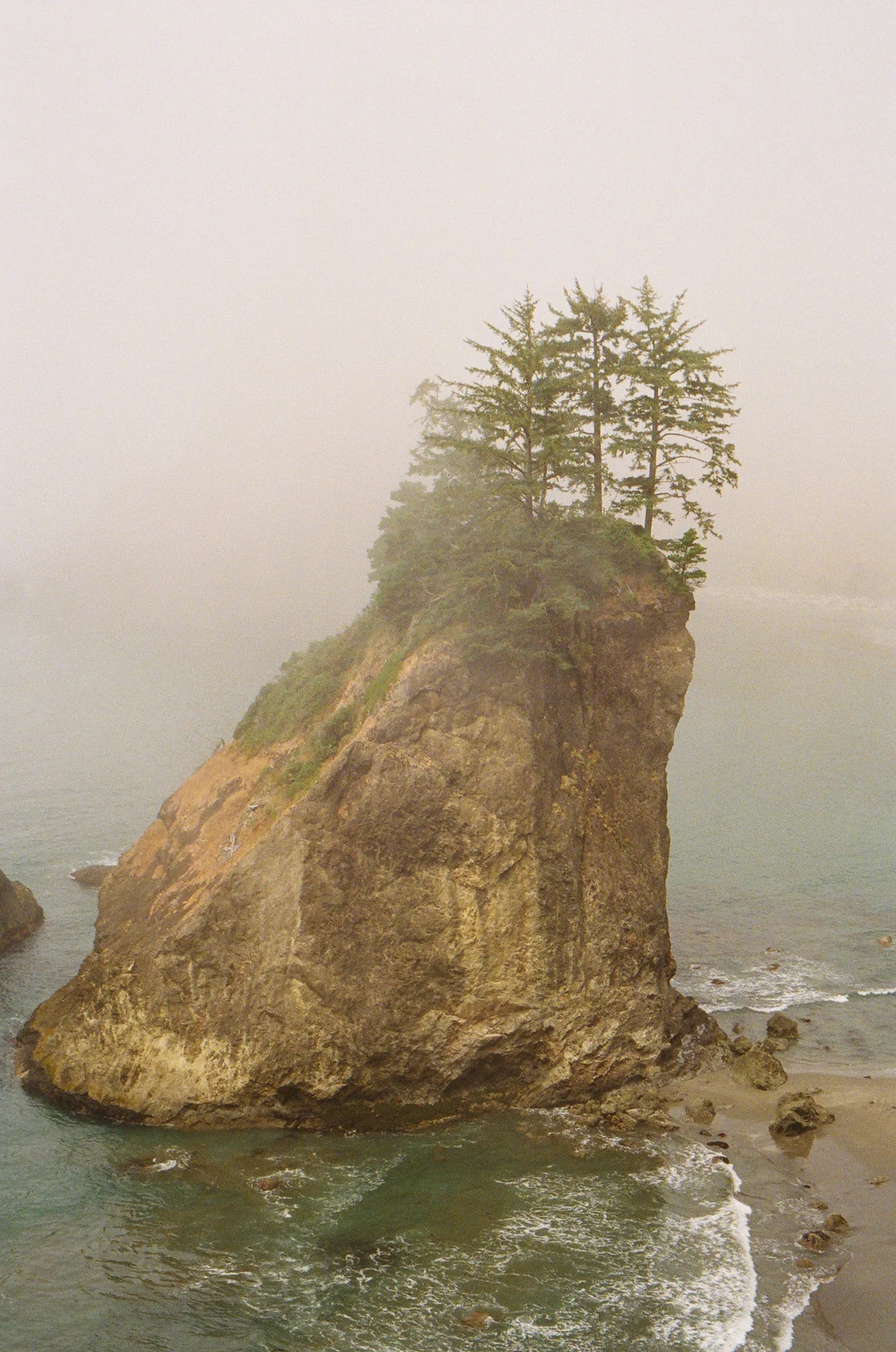 Film is not dead 276.JPG