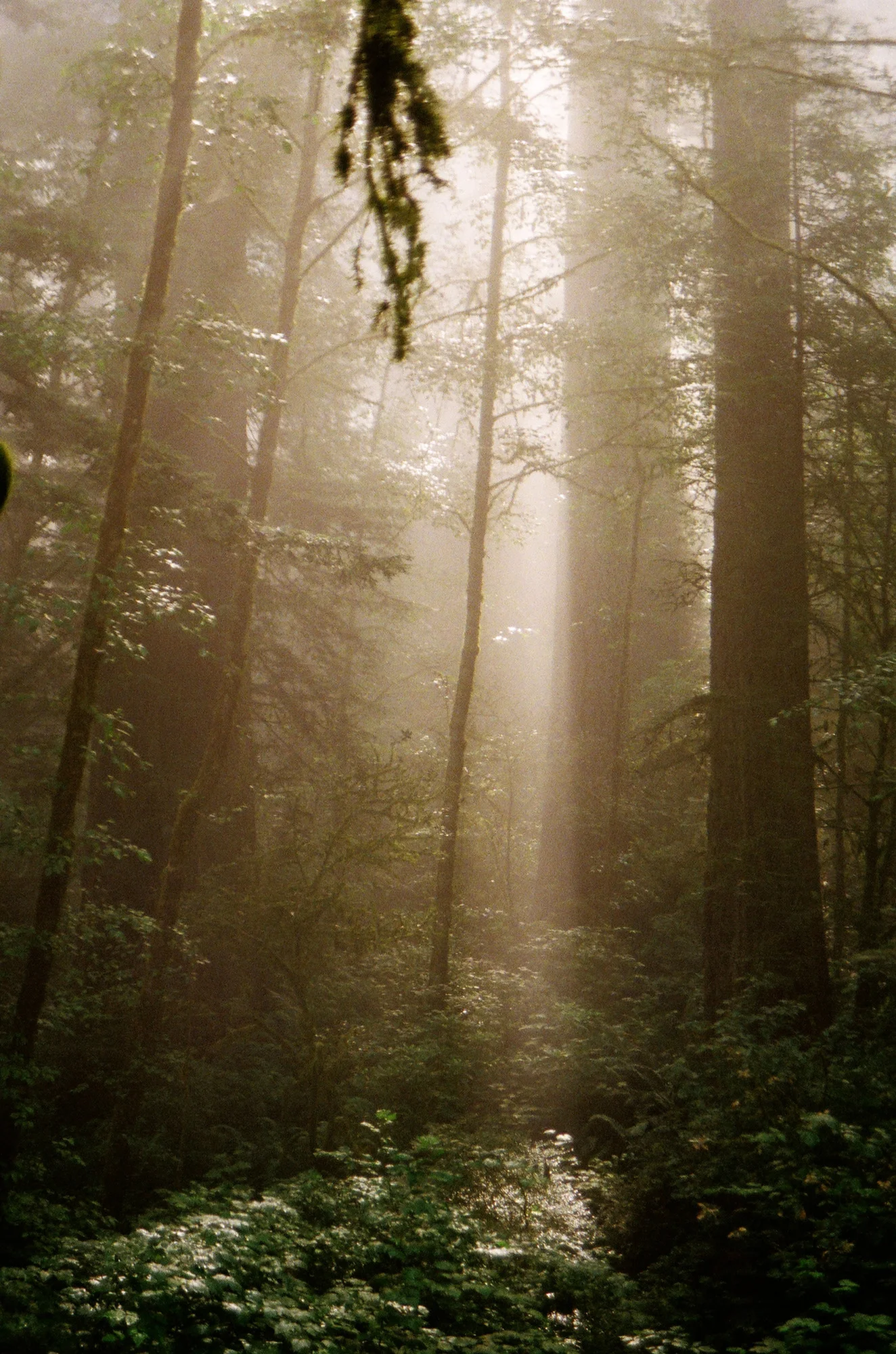 Film is not dead 277.JPG