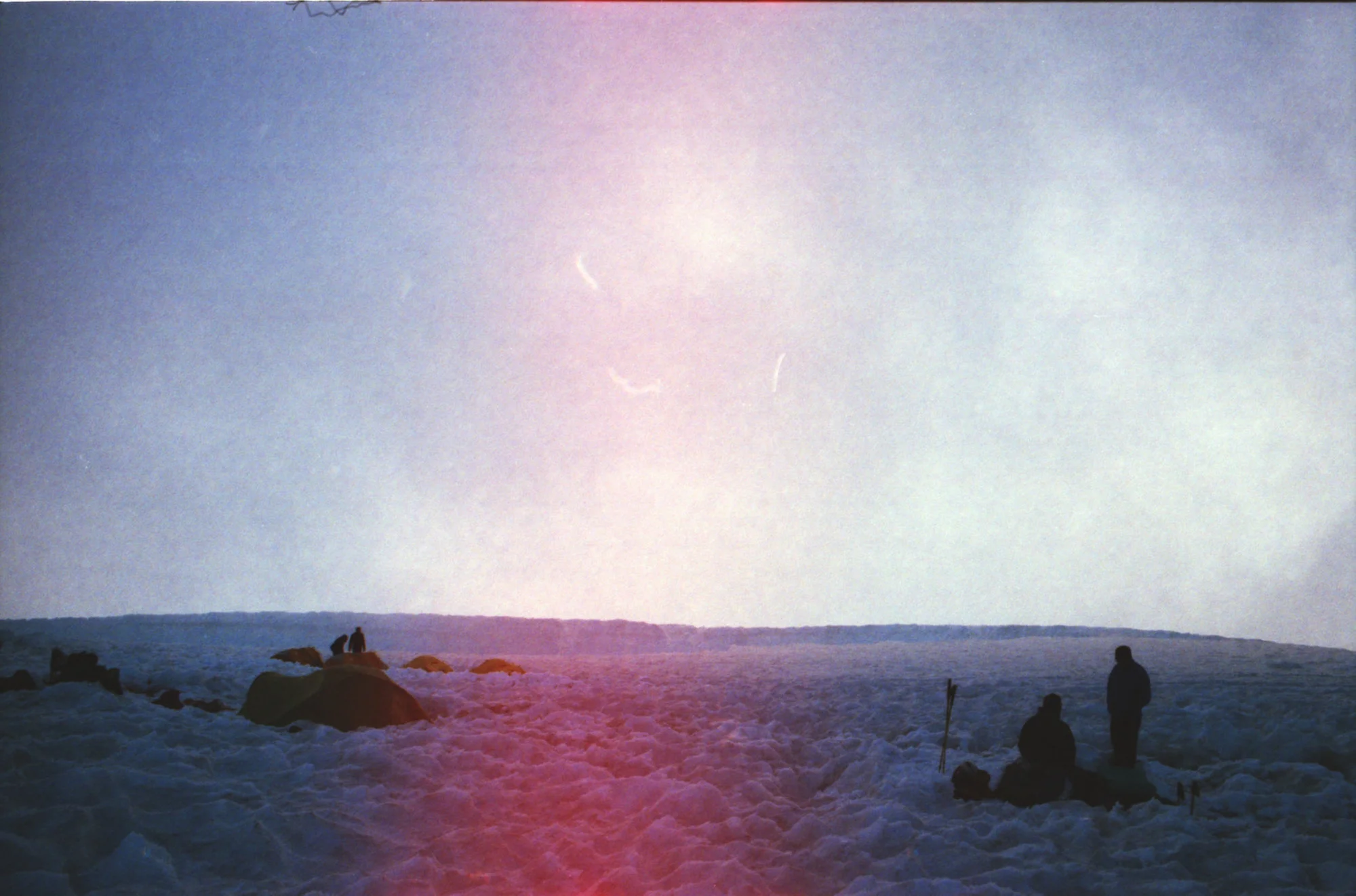 Film is not dead 336.JPG