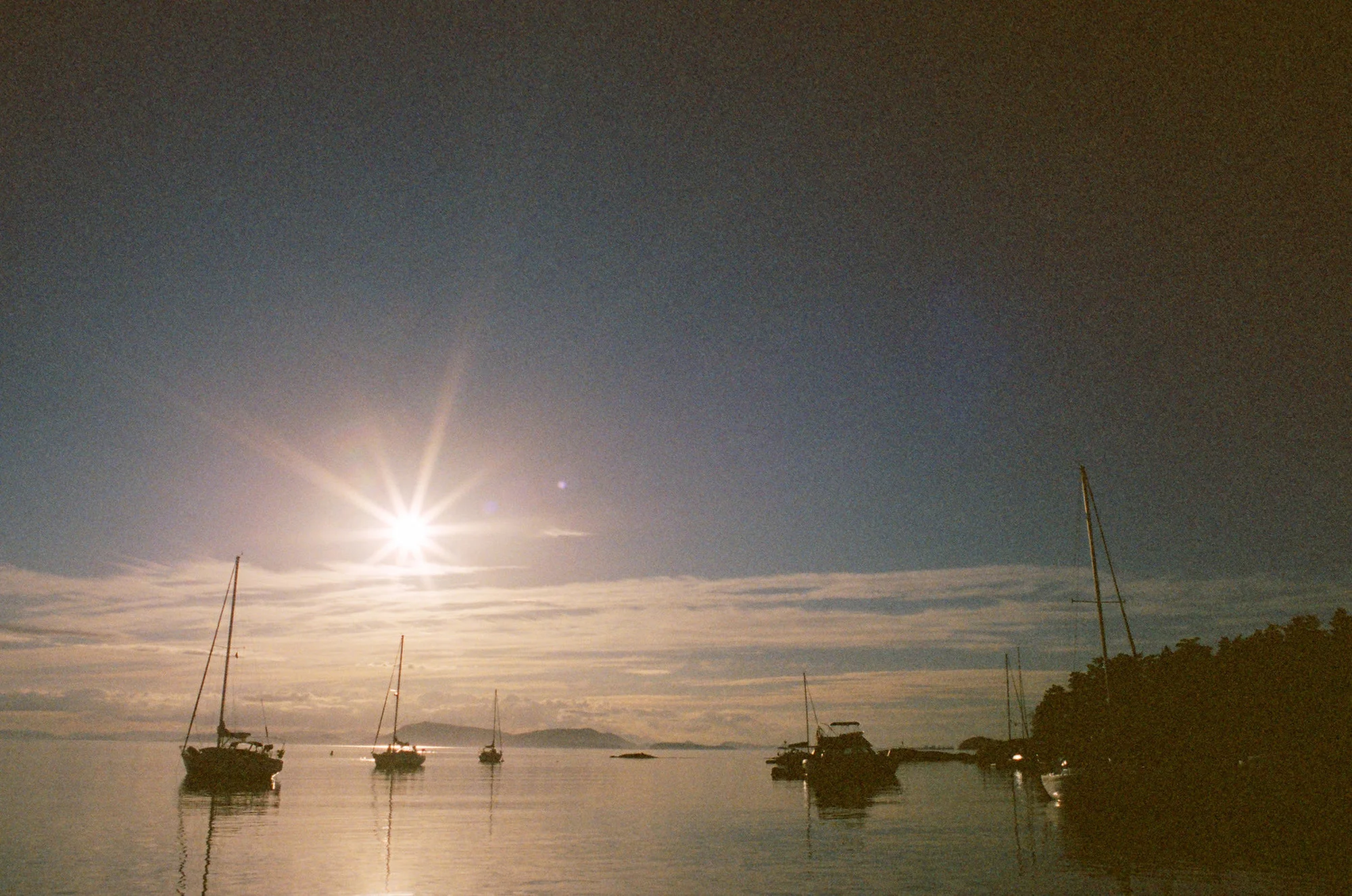 Film is not dead 362.JPG