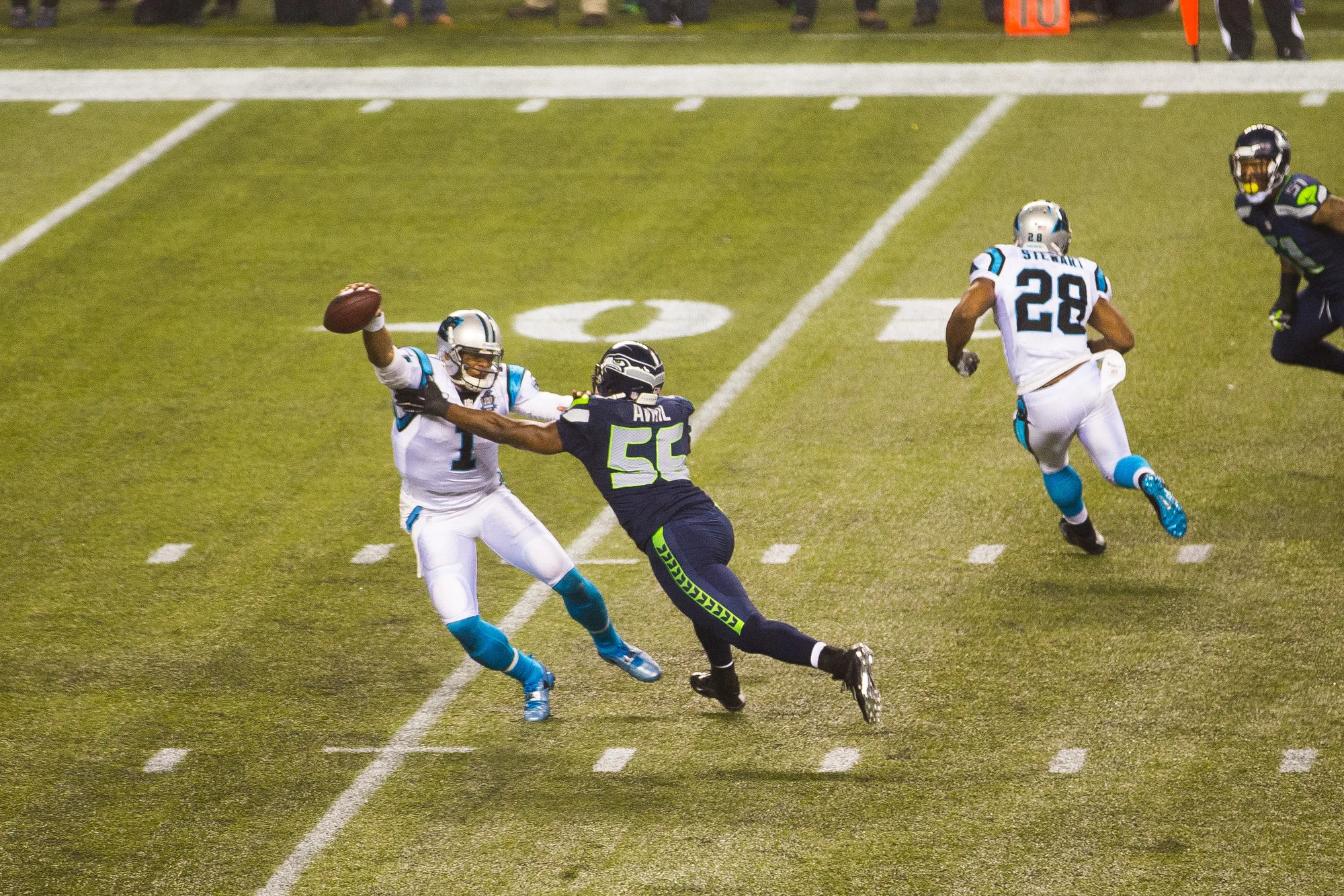 MARSH-150110-13.JPG