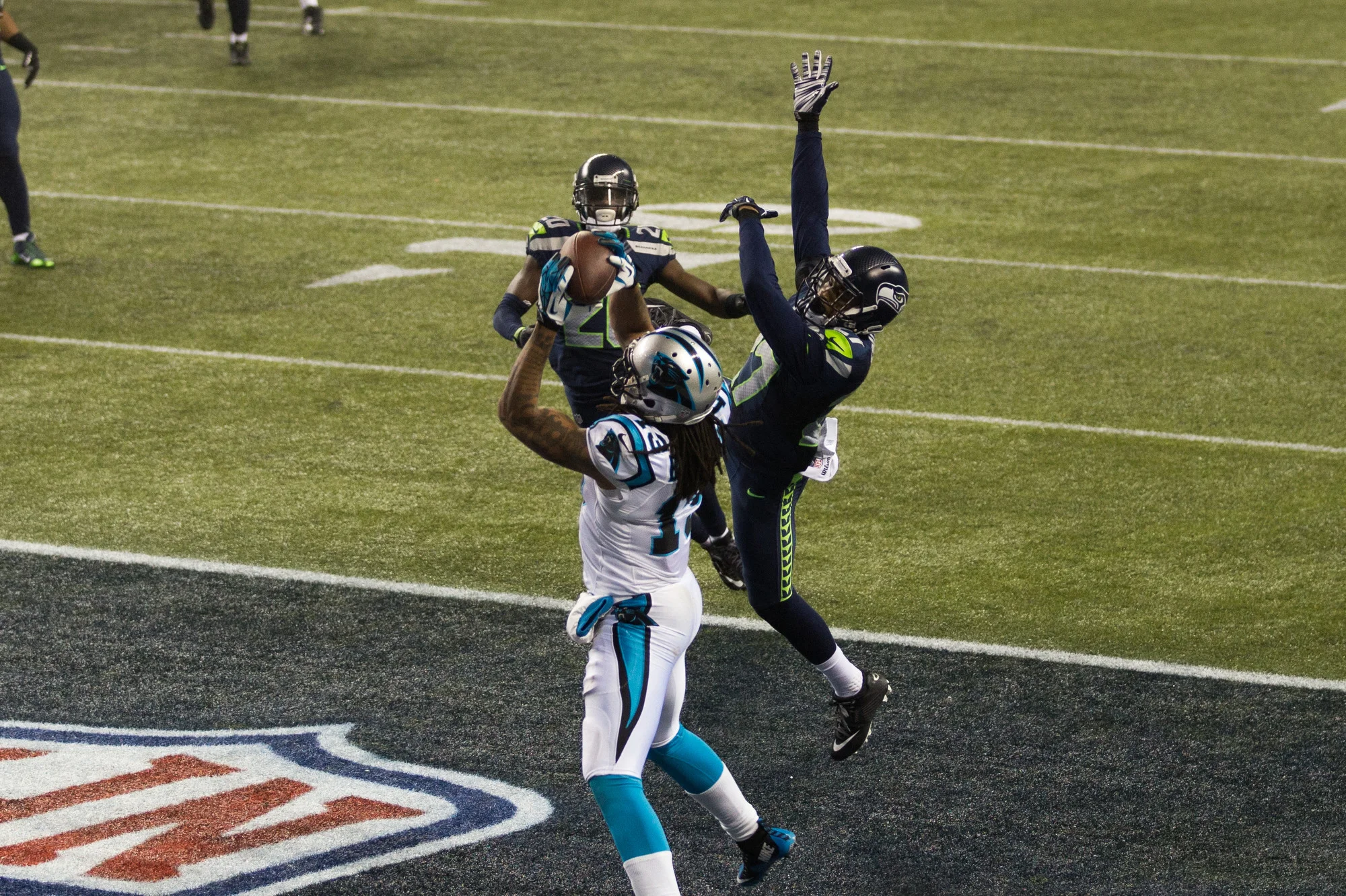 MARSH-150110-85.JPG